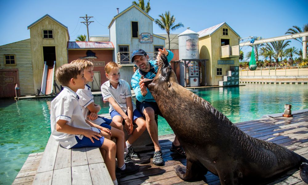 DAY 2 :Welcome aboard, Today get set to join us on a fun-filled day to Movie World - Hollywood in Gold Coast and later meet your aquatic friends at Sea World.